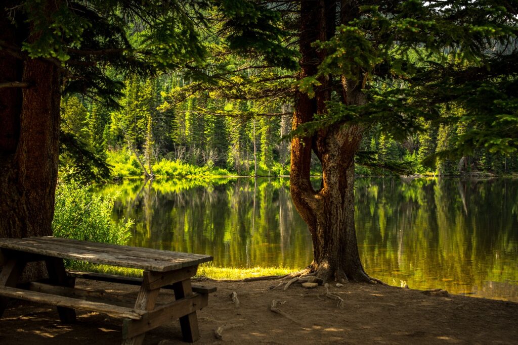 bench, lake, park-2178847.jpg