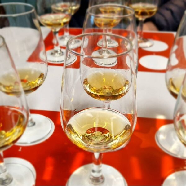 whisky testing